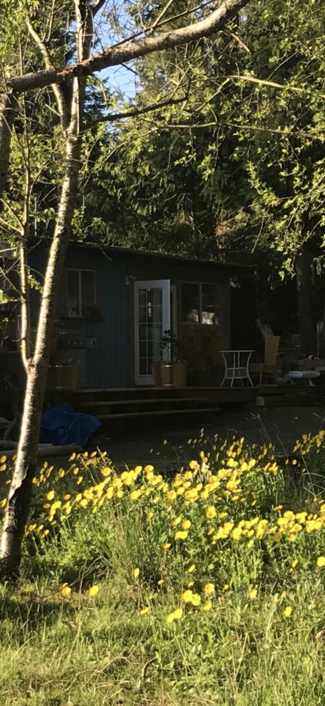 Cottage 19