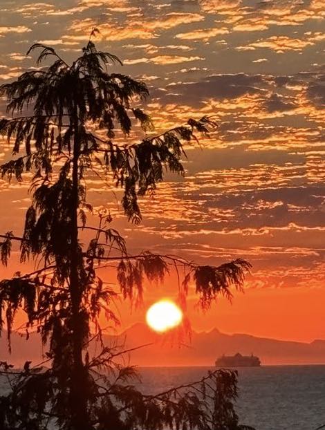 Sunset 22