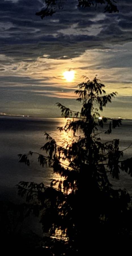 Sunset 20
